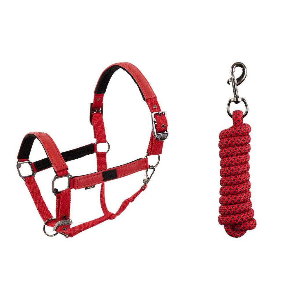 Cabezada + Ramal BR Halter - Imagen 2